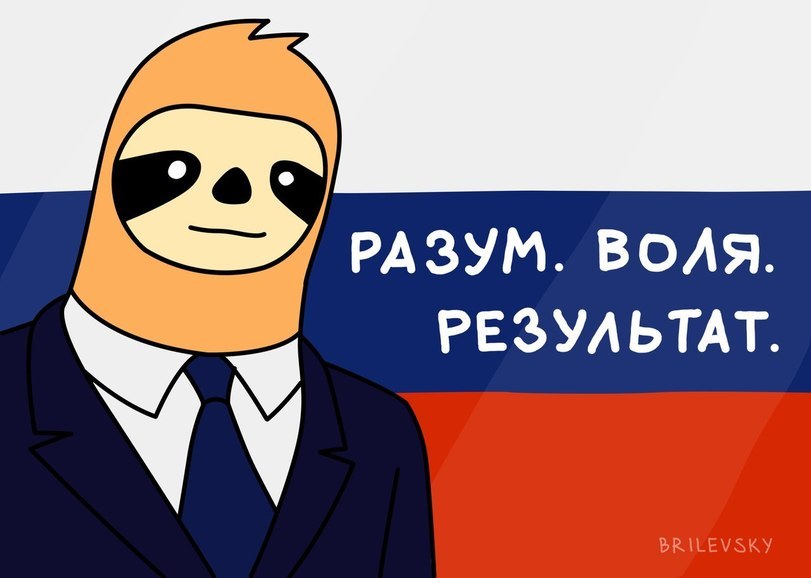 Our candidate! - Elections, Candidates, Brilevsky, Sloth, Longpost, Politics