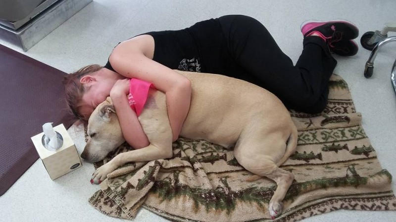 Woman opens up about her dog's last day - Love, Animals, Sympathy, Tears, Milota, Longpost