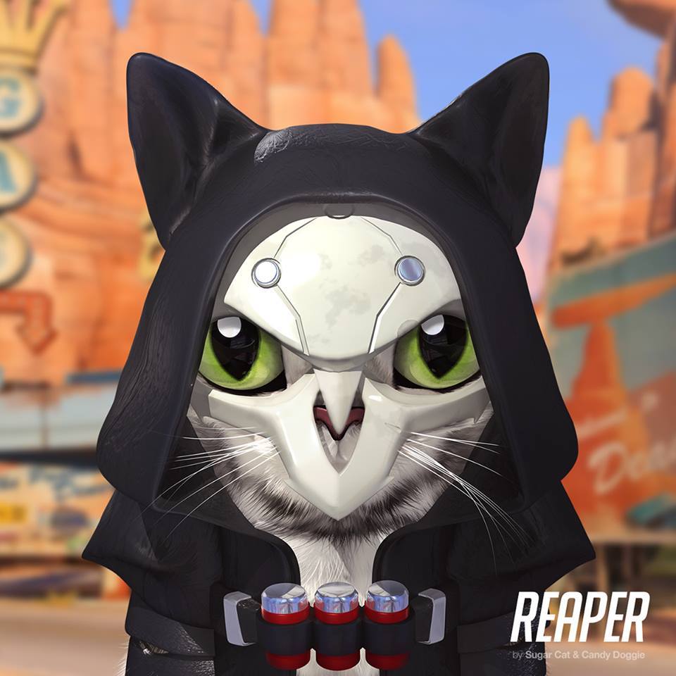 Overcat - Overwatch, Кот, Арт, Подборка, Длиннопост