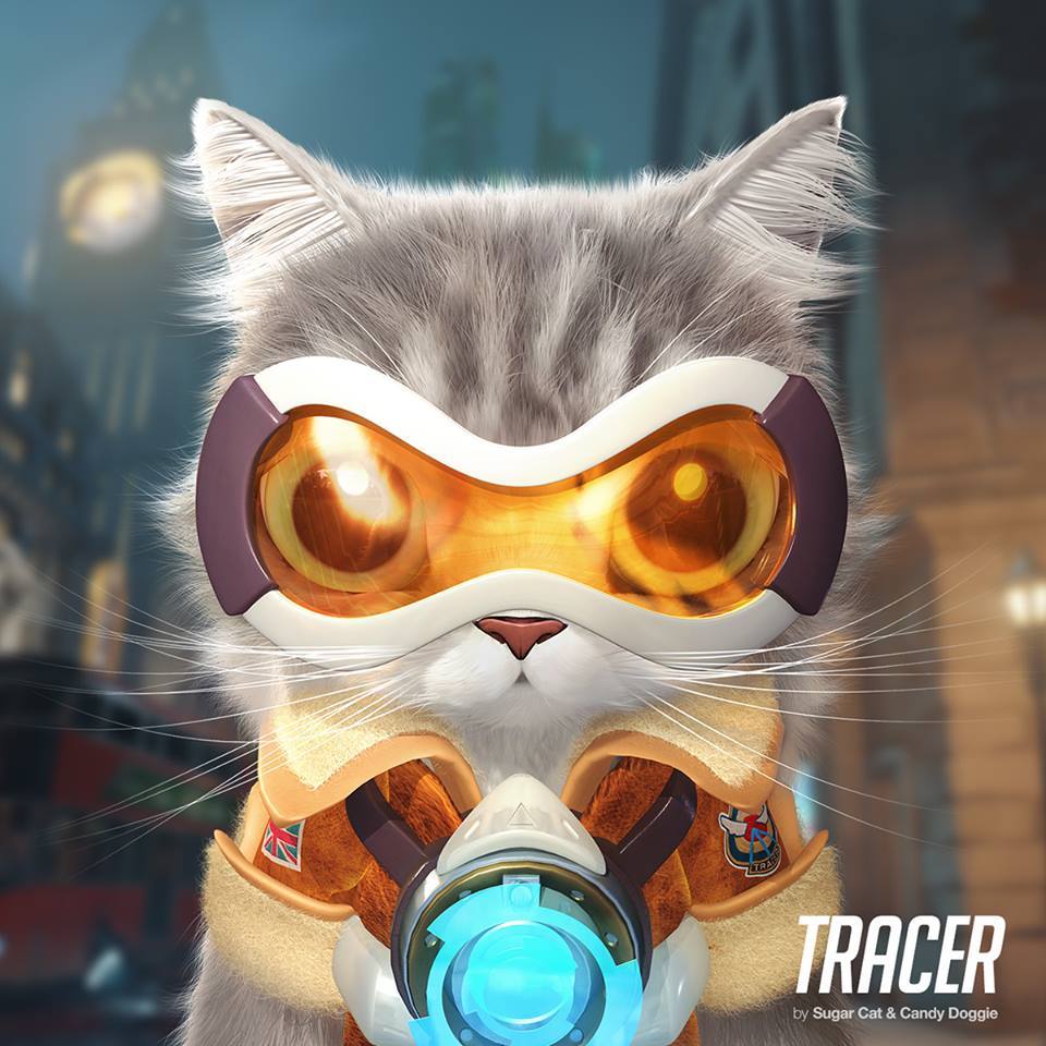 Overcat - Overwatch, Кот, Арт, Подборка, Длиннопост