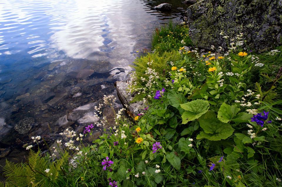 Zagedan lakes - Lake, Karachay-Cherkessia, Russia, Photo, The photo, Nature, Go, Longpost