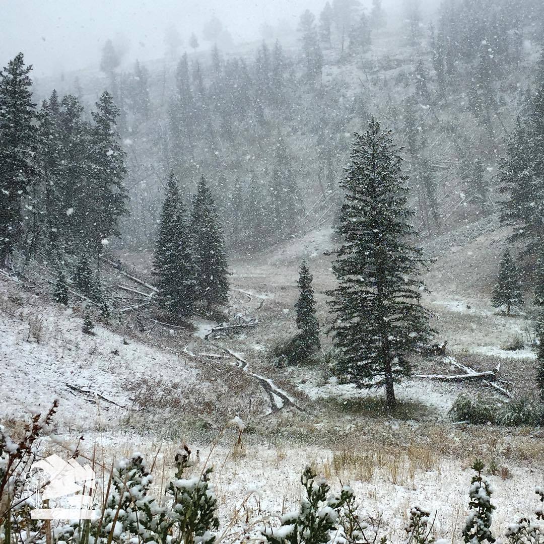 Snowfall in Yellowstone National Park (USA. 09/12/2016) - Yellowstone, The park, USA, Nature, Winter