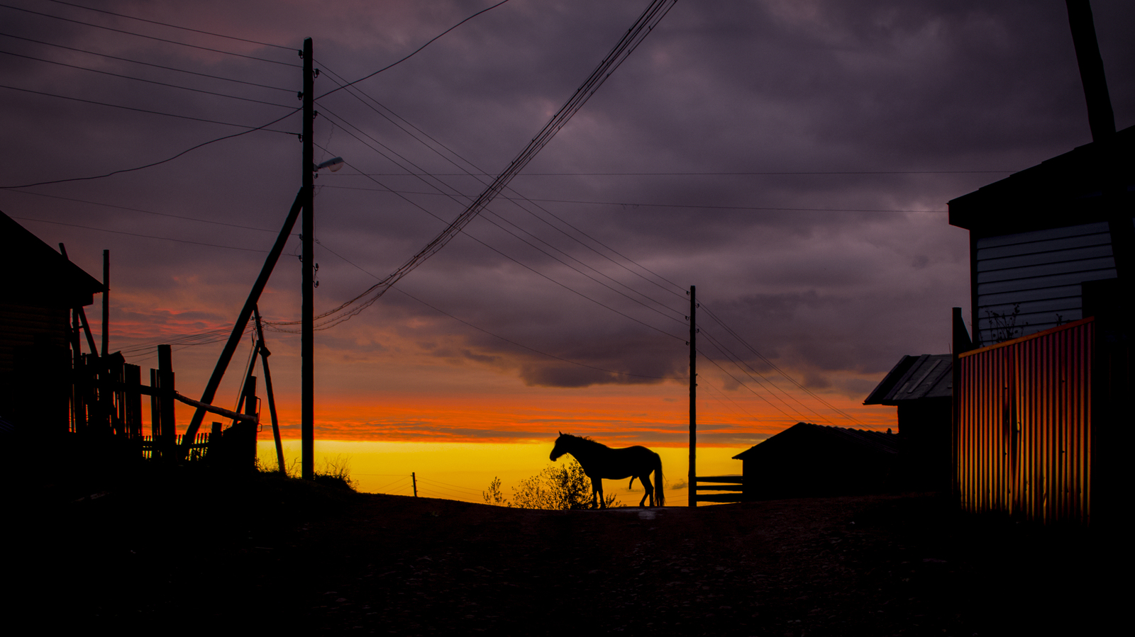 Sunset in the village - My, Sunset, Horses