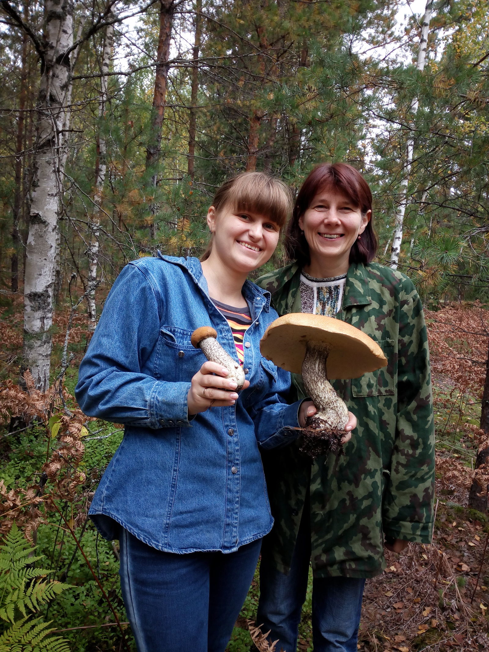 Mushroom =) - My, Mushrooms, Forest, Nature, Longpost