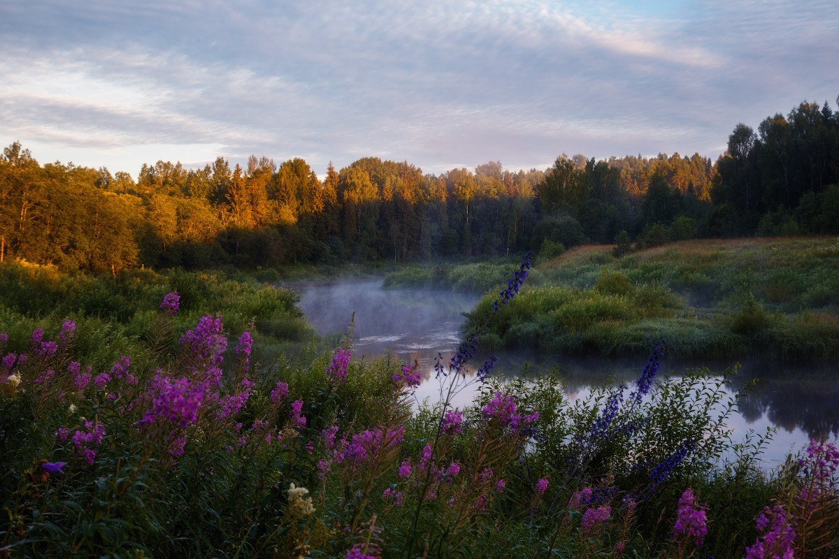 Река Ухра - Ухра, Река, Ярославская область, Россия, Фото, Фотография, Природа, Съездить, Длиннопост