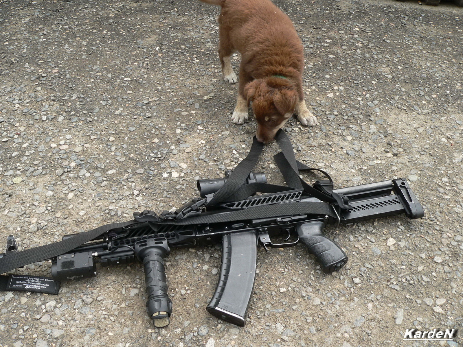 Собака с пулеметом