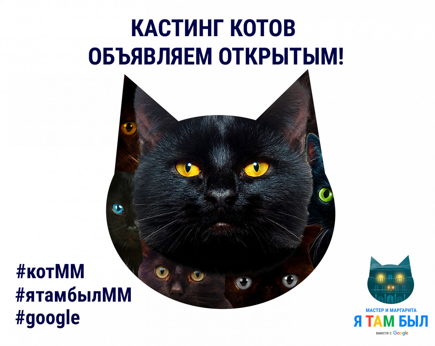 Google announced the search for a cat for the role of Behemoth - cat, KinoPoisk website, Google