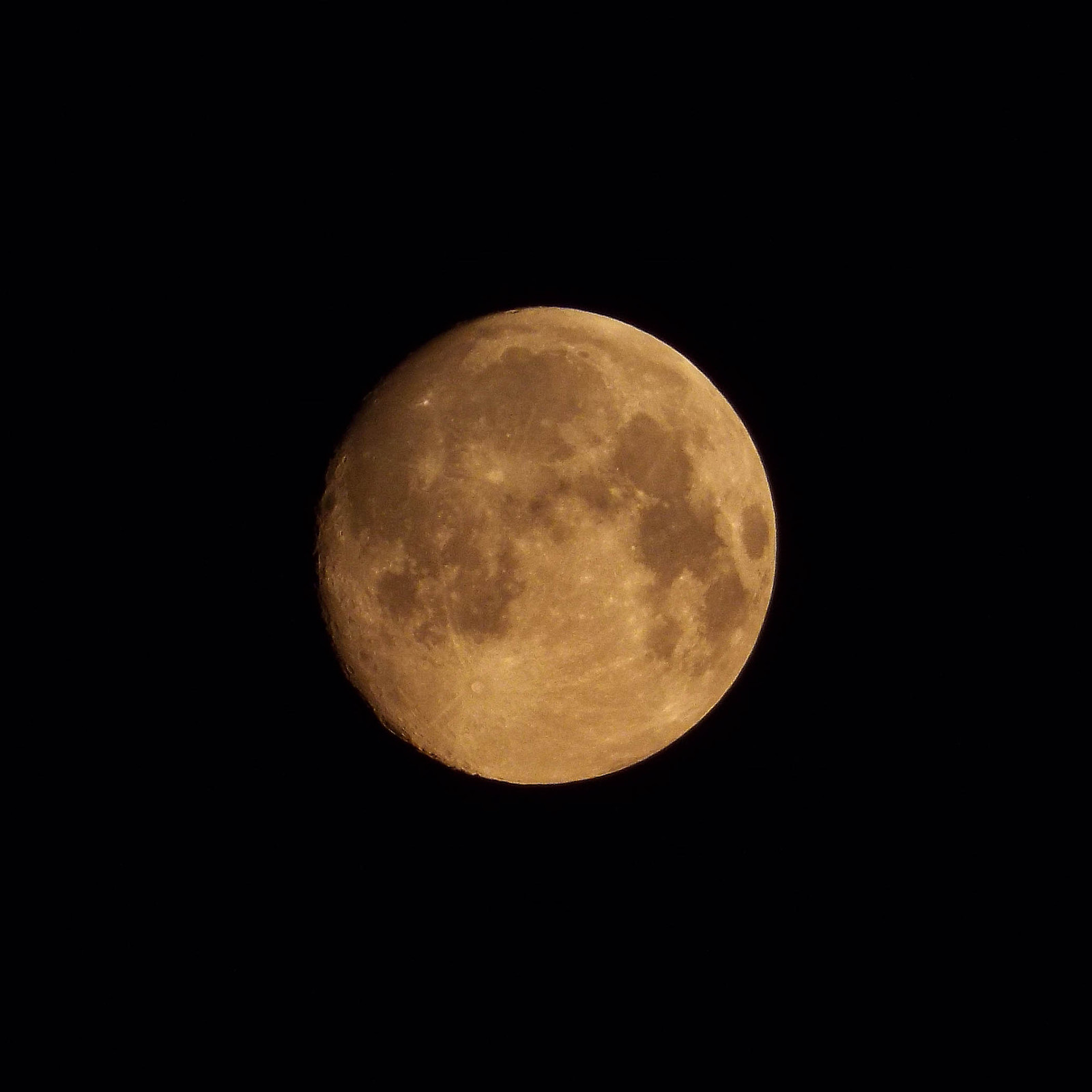 pictures of the moon - My, Photo, Photographer, moon, cat, Night, Sky, Longpost