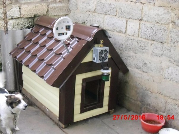 Doggy luxury accommodation - Kennel, Dog, Luxury housing