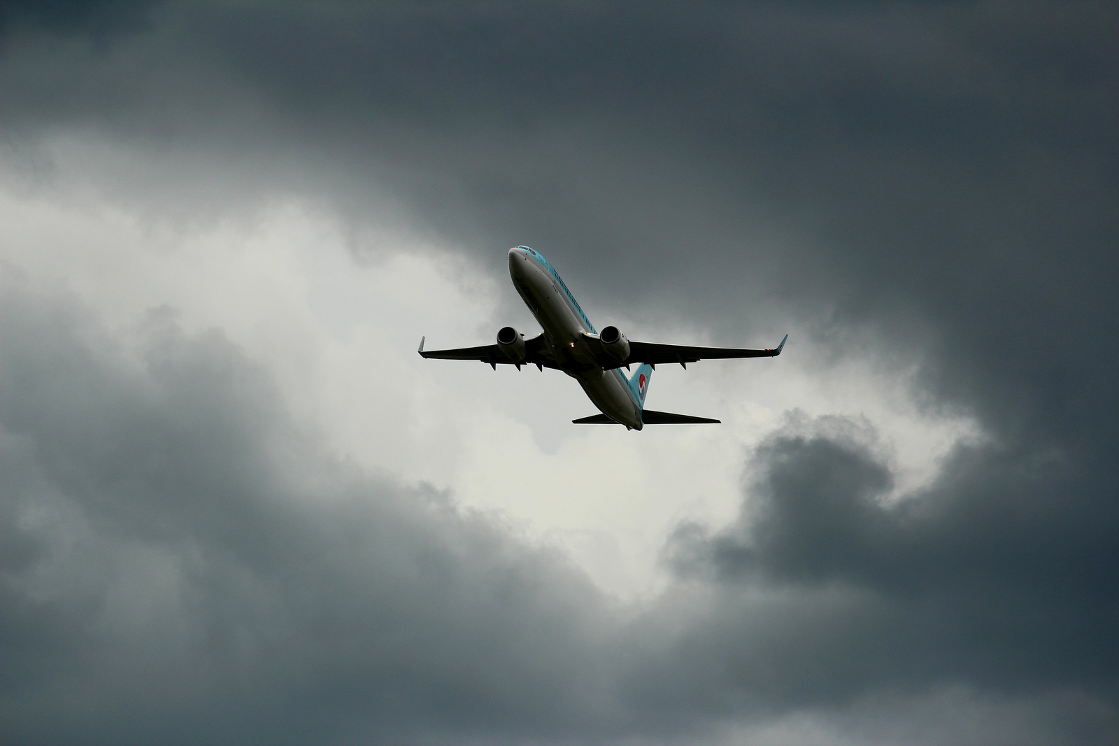 Under the fence of Vladivostok airport - My, Aviation, The photo, Vladivostok, , Longpost