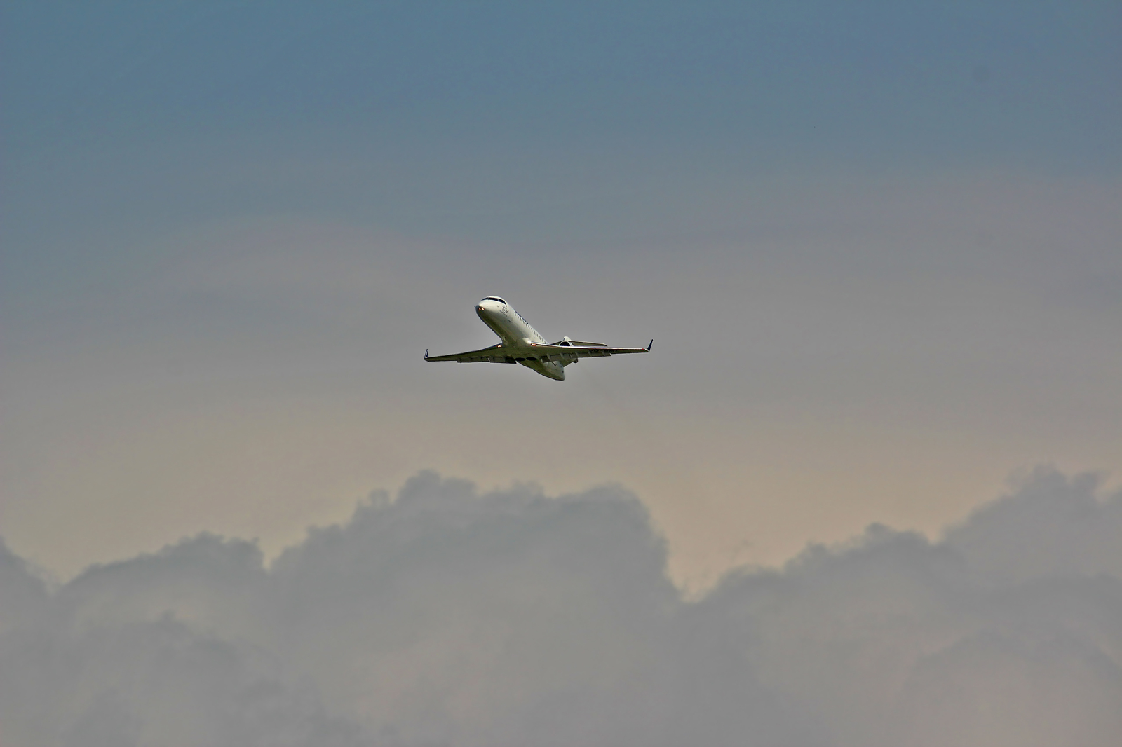 Under the fence of Vladivostok airport - My, Aviation, The photo, Vladivostok, , Longpost