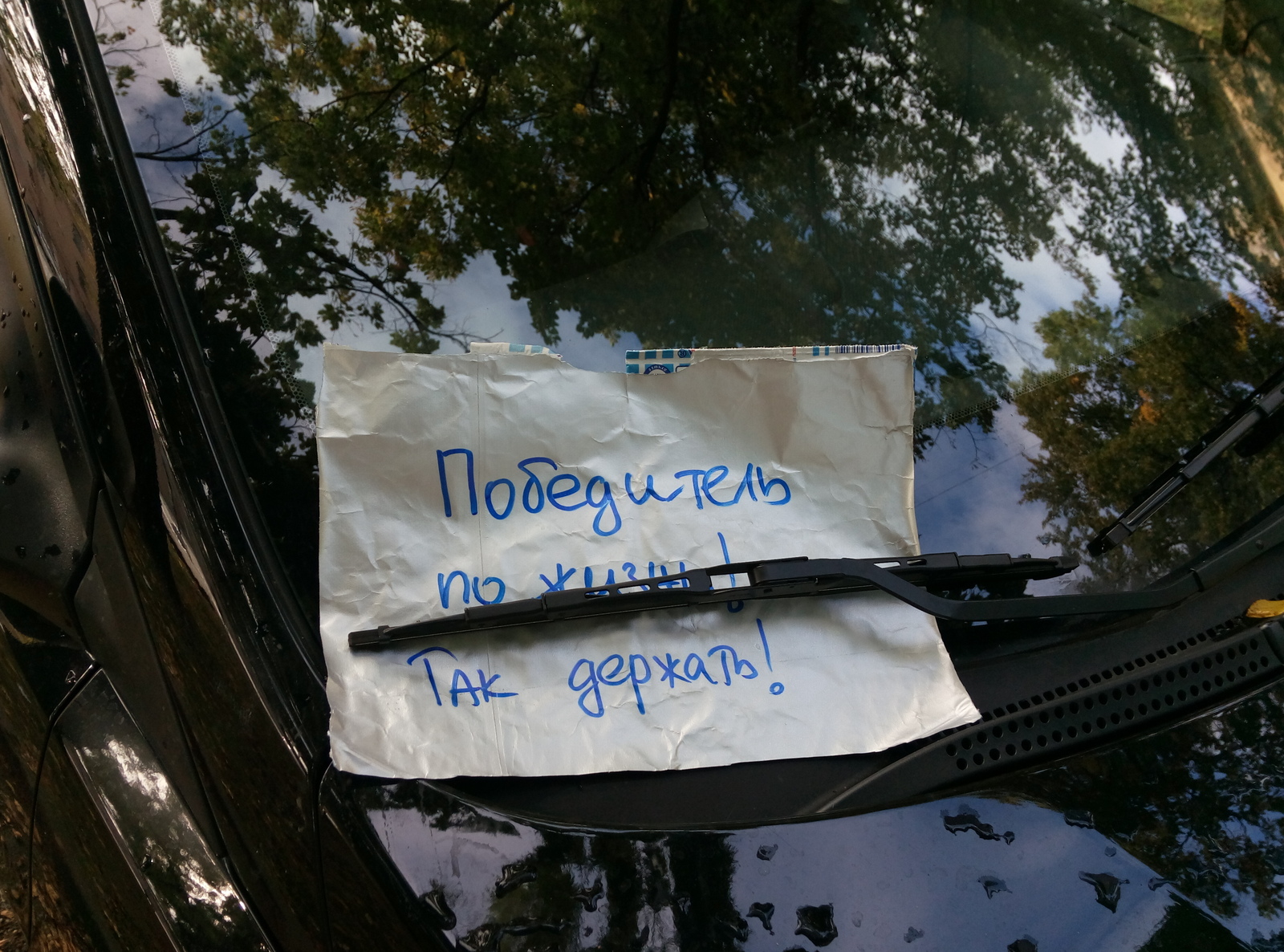 A parking master has started in St. Petersburg :) - My, Parking, Saint Petersburg, Life Winner, Longpost