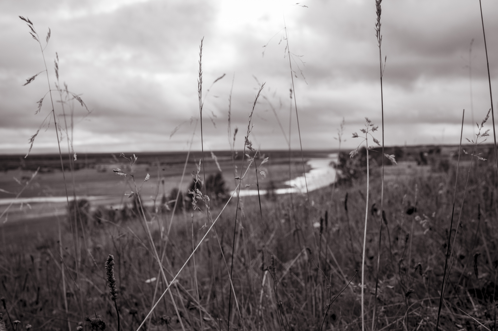 The winter is coming - My, Autumn, Nature, Black and white photo