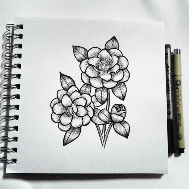 I am learning to draw sketches with a liner. - My, Sketch, Flowers, Drawing, Art, Liner, , Linework, Longpost