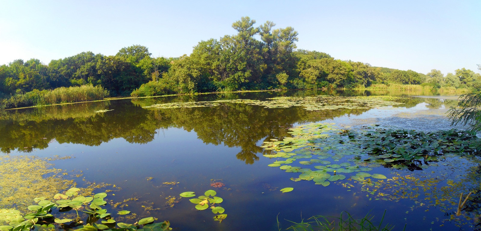 Some panoramic photography. - My, Photo, Landscape, Панорама, Nature, My, Zaporizhzhia, Hey, The photo