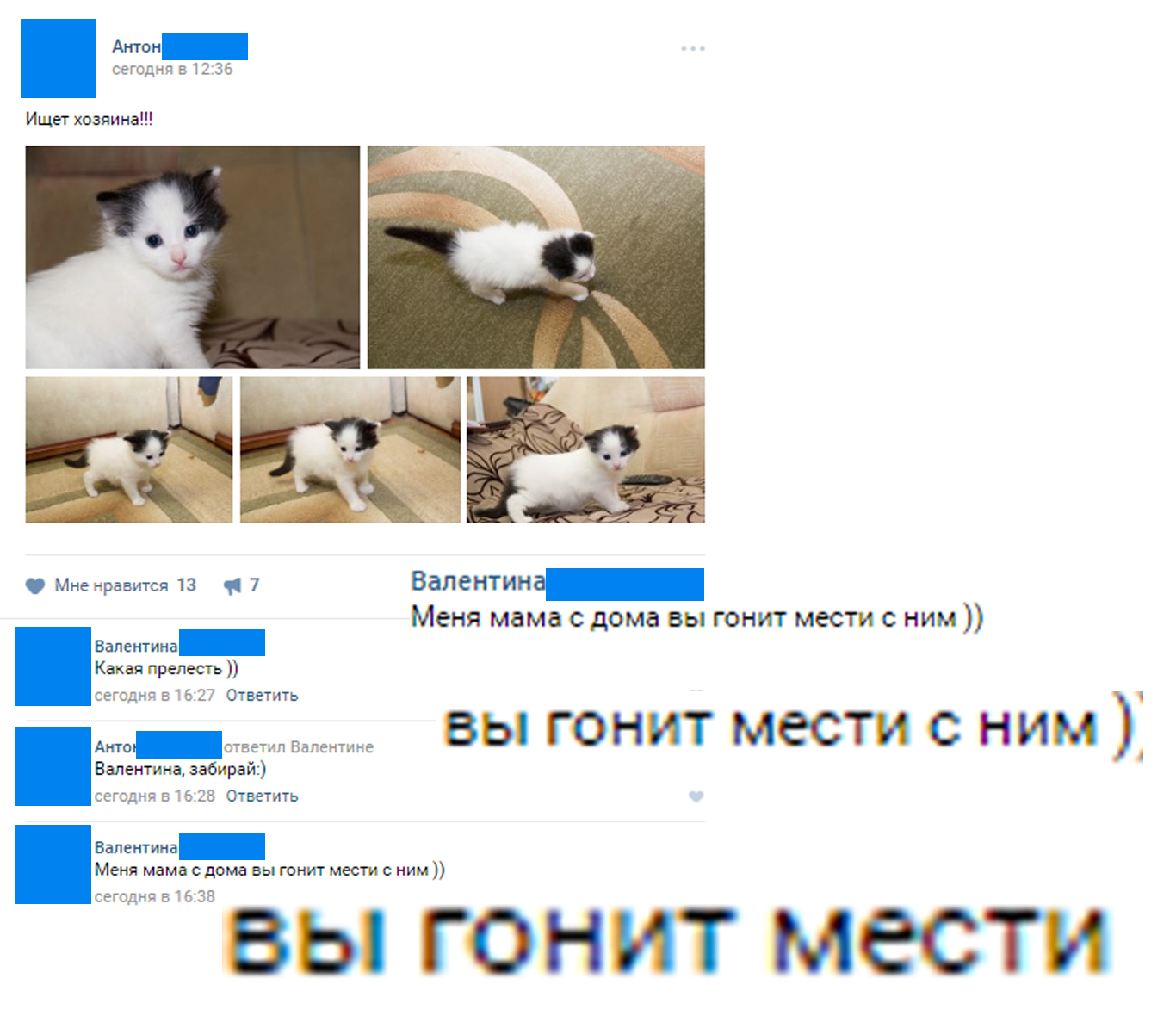 When mom is vindictive and makes revenge - My, Hostess, Spelling, Dictionary, Russian language, , cat