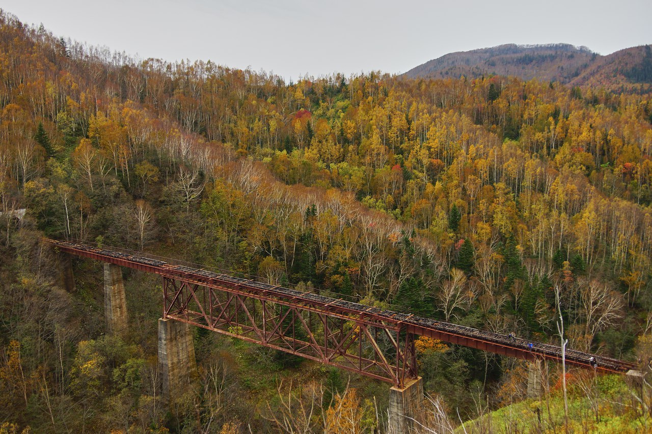 Sakhalin autumn post - Photo, Autumn, Sakhalin, A train, , Sahkom, Longpost