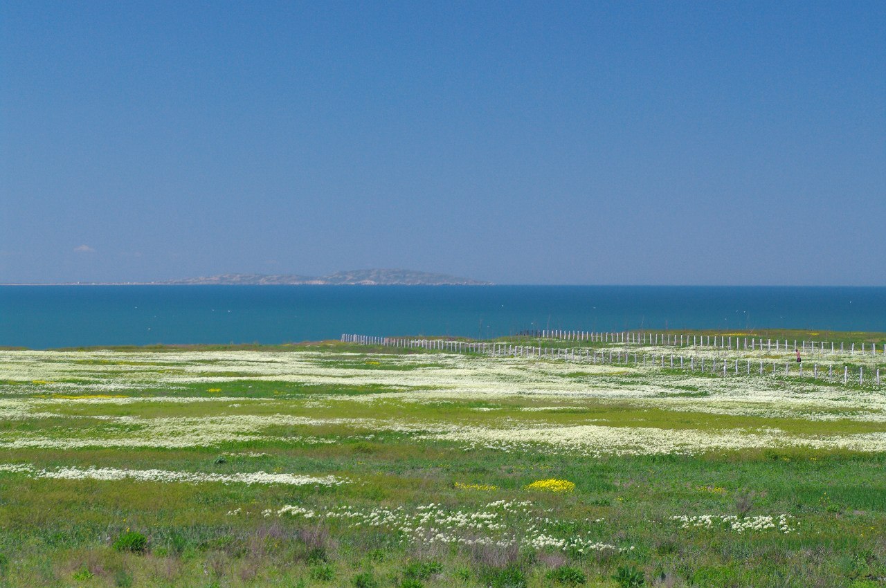 Степь как море. Караларская степь Крым. Парк Азовское Крым. Степной Крым фото. Степной Крым море фото.