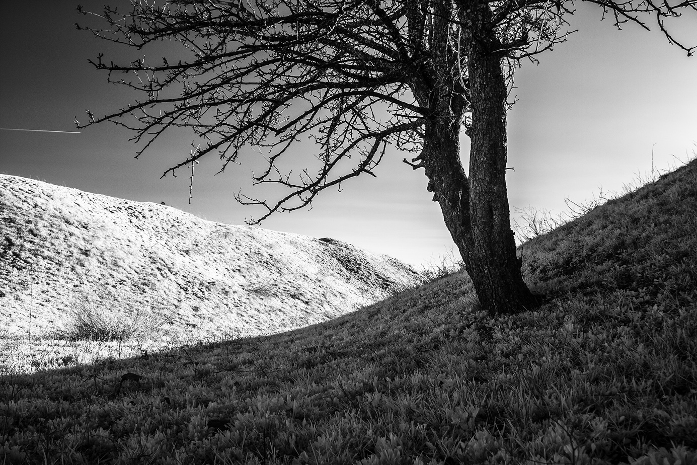 A bit of black and white - My, Photo, The photo, Infrared shooting, Infrared, Black and white photo, Longpost