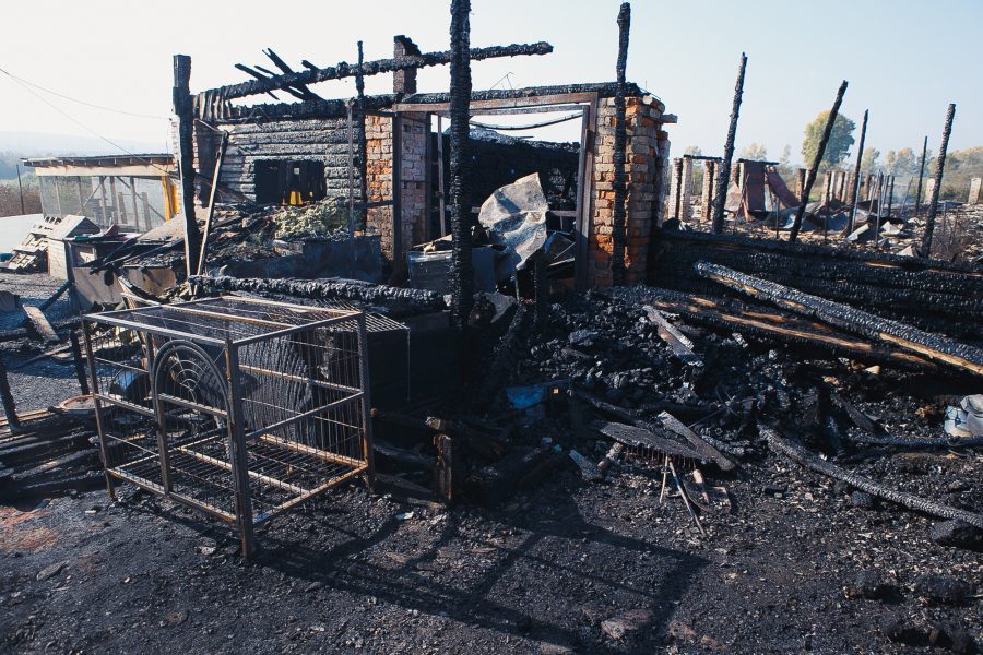 Fire at Verny Animal Shelter - Kemerovo, Fire, Tragedy, Animals, Shelter, Longpost, Help