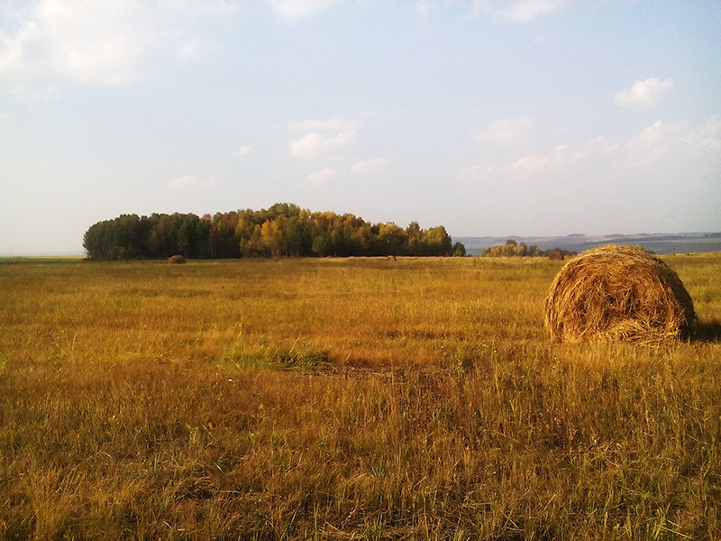 Yesterday I paraglided for the first time... - My, Paragliding, Krasnoyarsk, Humor, Video, Longpost