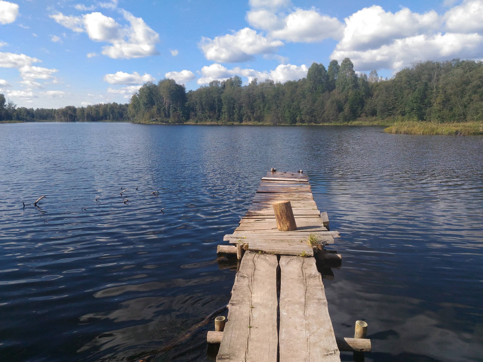 A bit of the Smolensk Lakeland for your feed) - My, Photo, National park, Smolensk region, Nature, Text, Longpost