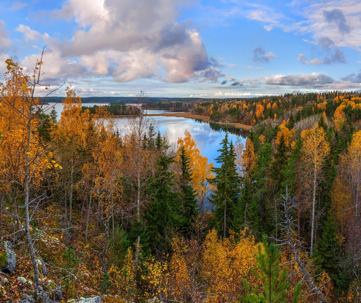 Golden autumn on Lake Ladoga - Карелия, Russia, Photo, Nature, The photo, Gotta go, Longpost, Landscape