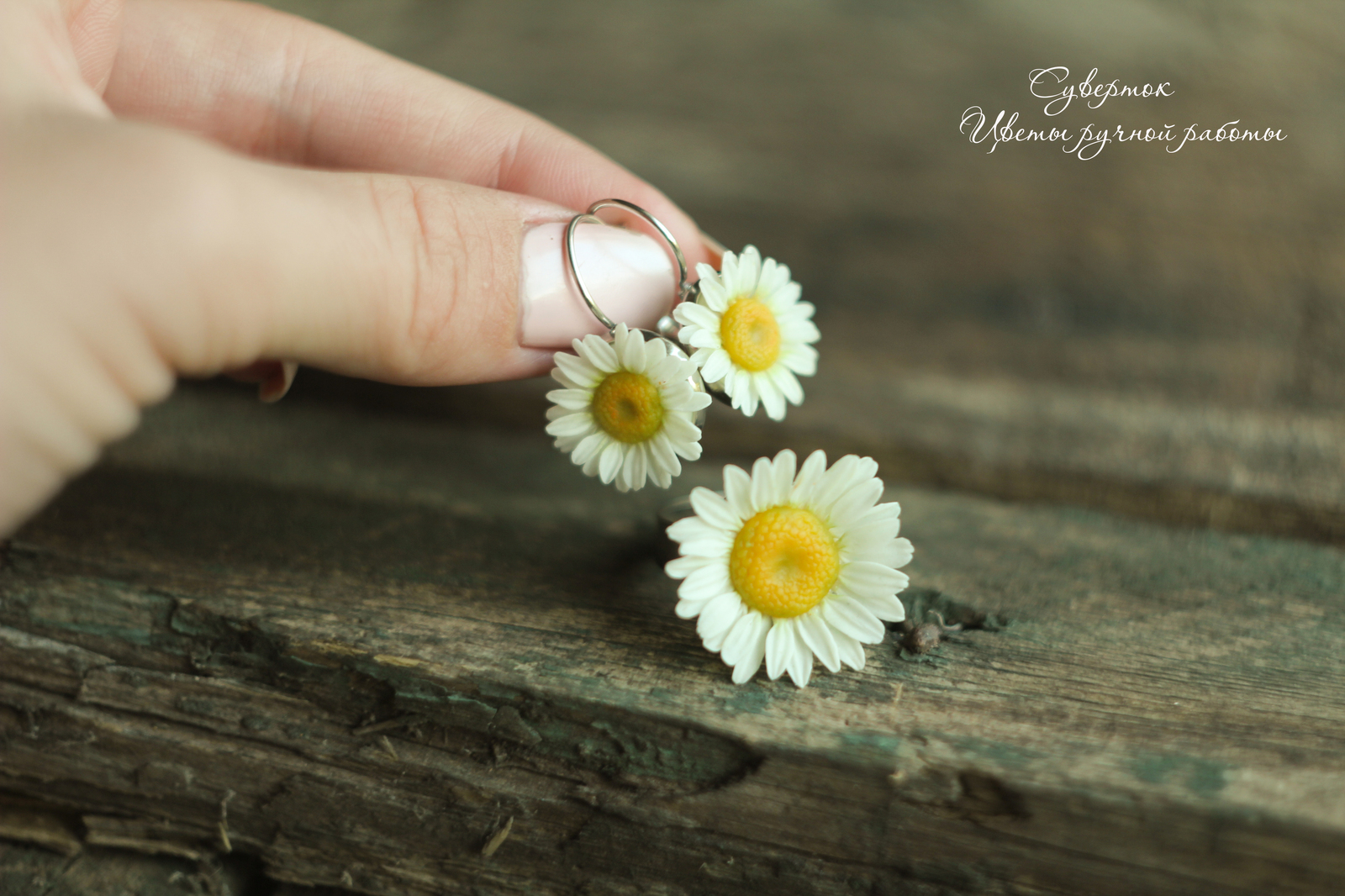 Here's a little summer mood for you: my daisies, molded from cold porcelain - My, Chamomile, Flowers, Handmade, Cold porcelain, Лепка, Earrings, With your own hands, Polymer clay