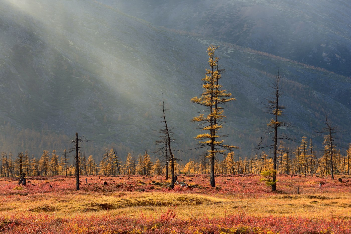 Around Jack London - Lake, , Magadan Region, September, Gotta go, Photo, Nature, Russia, Longpost