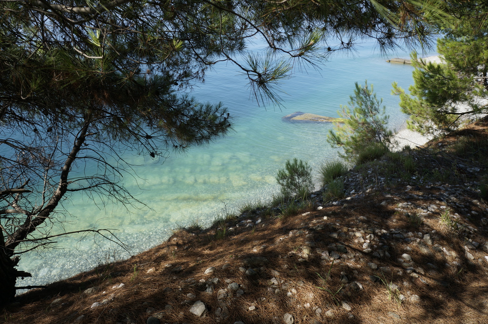 Coast in Abkhazia - My, Abkhazia, Photo, Sea, Nature, Shore