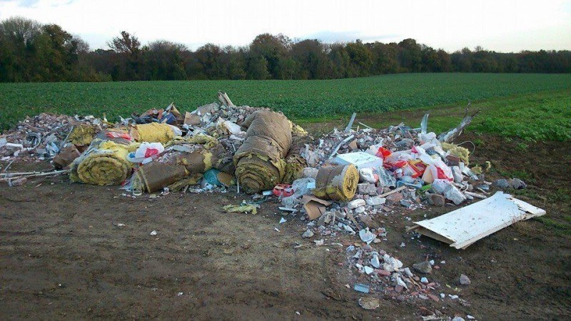 The mayor gave a lesson to people who left garbage in the forest - Mayor, People, Garbage, Forest, Return, Ecology, Video, Longpost