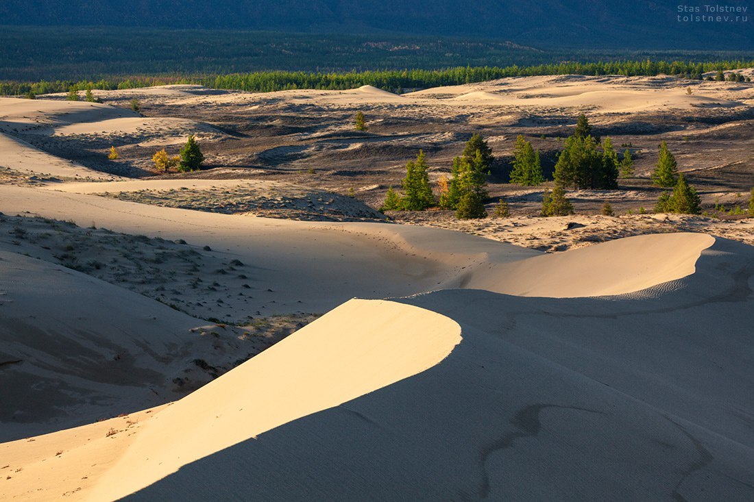 Chara Sands - Char Sands, Transbaikalia, Russia, Dunes, Gotta go, Photo, Nature, Landscape, Longpost