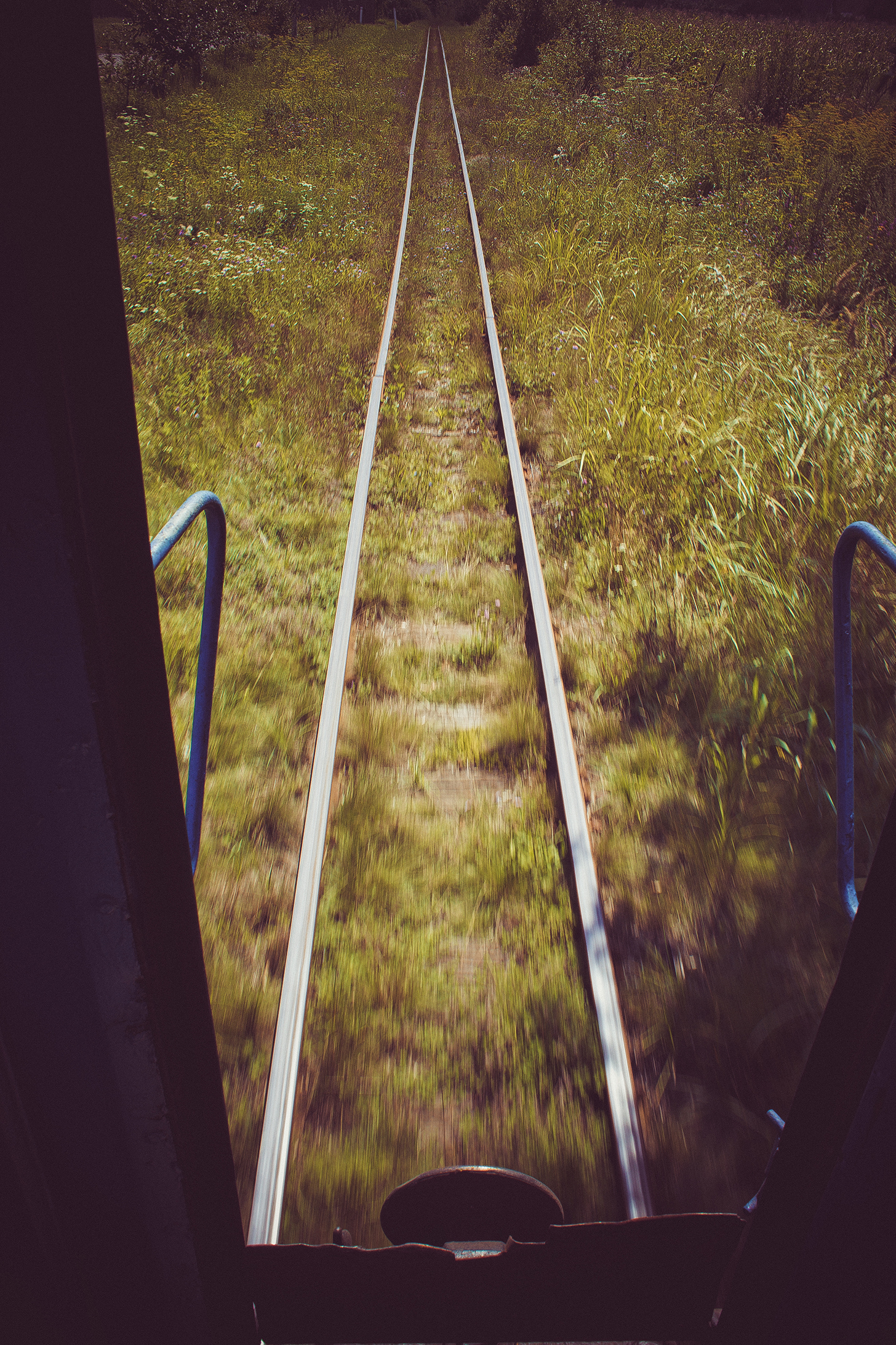 Borzhava narrow gauge railway - My, Narrow gauge, , Rails, A train, , Longpost