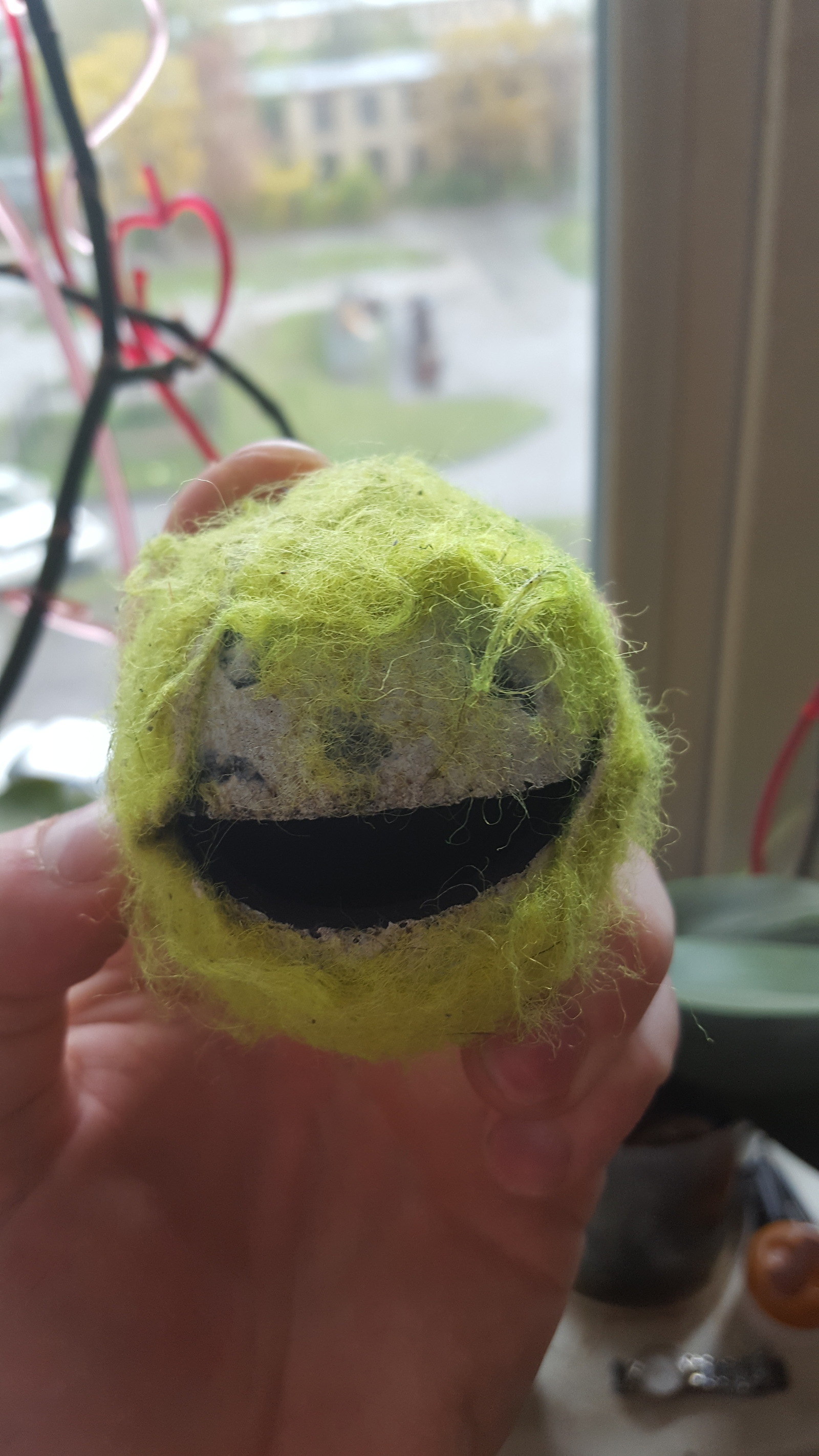 Am I the only one who can see it? - My, Tennis ball, Dog, Longpost