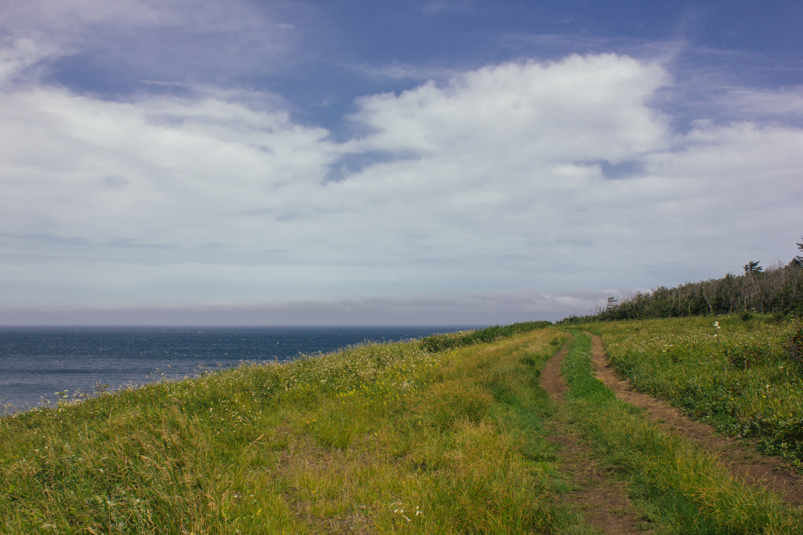 Sovetskaya Gavan - Tatar Strait - My, Tatar Strait, Sovetskaya Gavan, Longpost