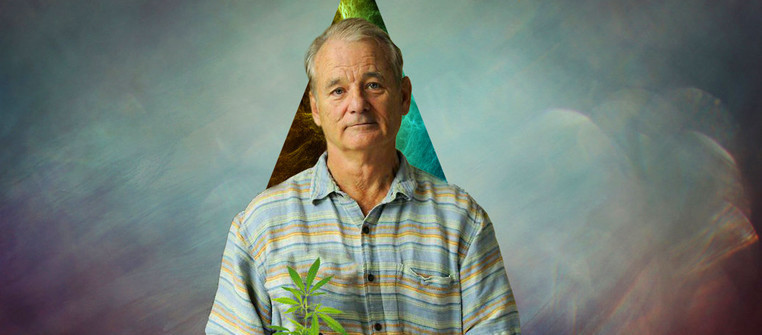 Bill Murray: Hero of Urban Legends - Bill Murray, Actors and actresses, Movies, A life, Legend, Facts, GIF, Longpost