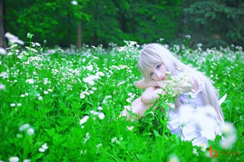 Cosplay(93) - Cosplay, Anime, , Honma Meiko, Longpost