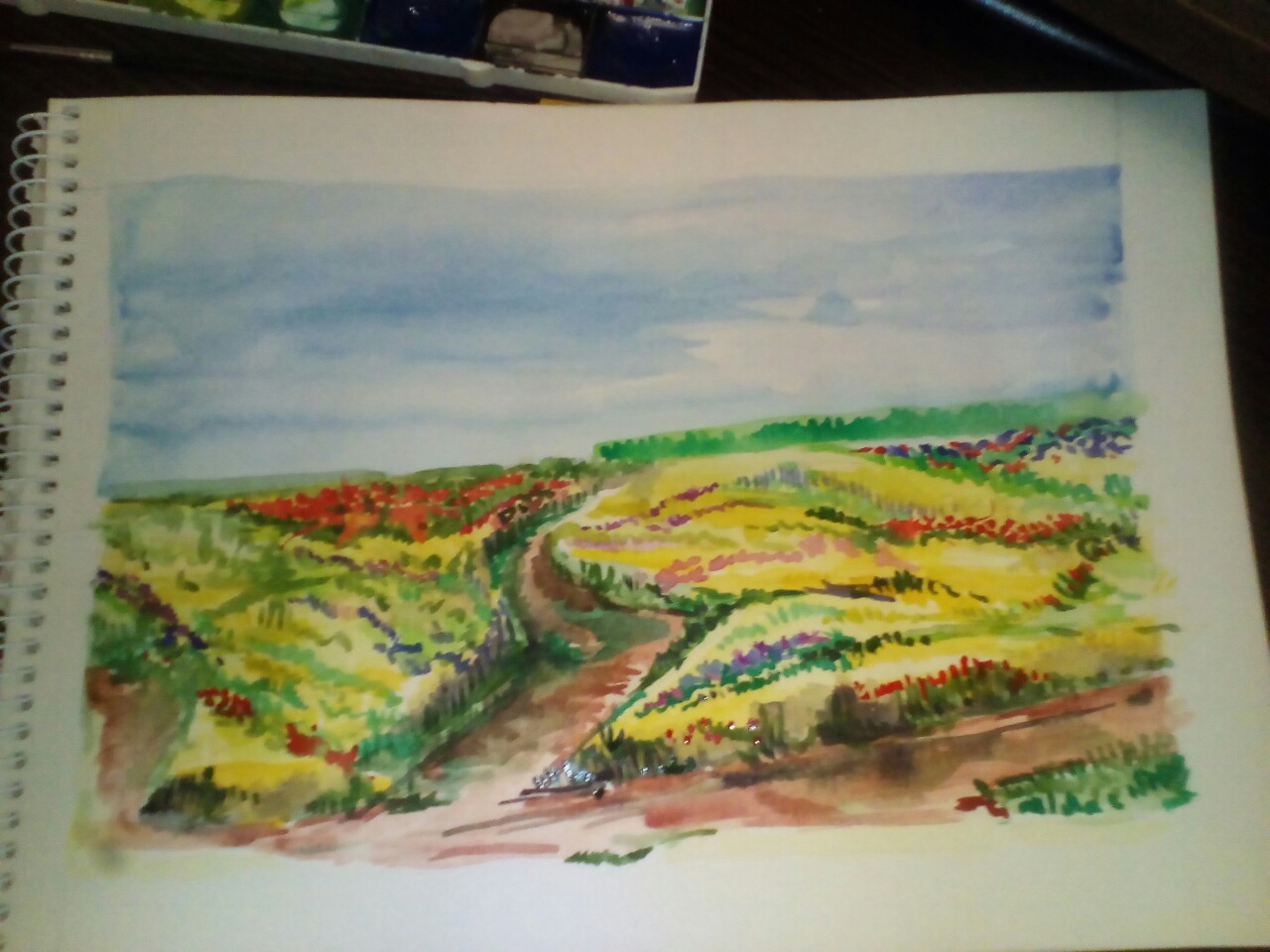 Field - My, Painting, Landscape