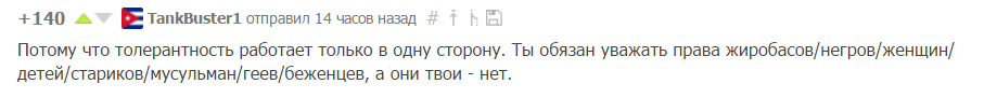 Потому что толерантность работает только в 1 сторону. - Толерантность, Несправедливость, Комментарии, Пикабу, Скриншот