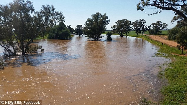 Australia has begun to sink. Photos from the scene - news, Longpost, Photo, Australia, Flood, Catastrophe