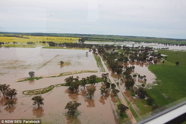 Australia has begun to sink. Photos from the scene - news, Longpost, Photo, Australia, Flood, Catastrophe