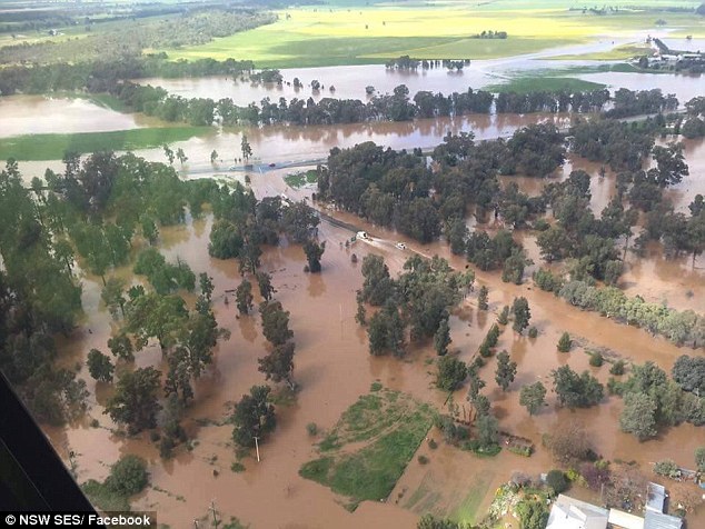 Australia has begun to sink. Photos from the scene - news, Longpost, Photo, Australia, Flood, Catastrophe