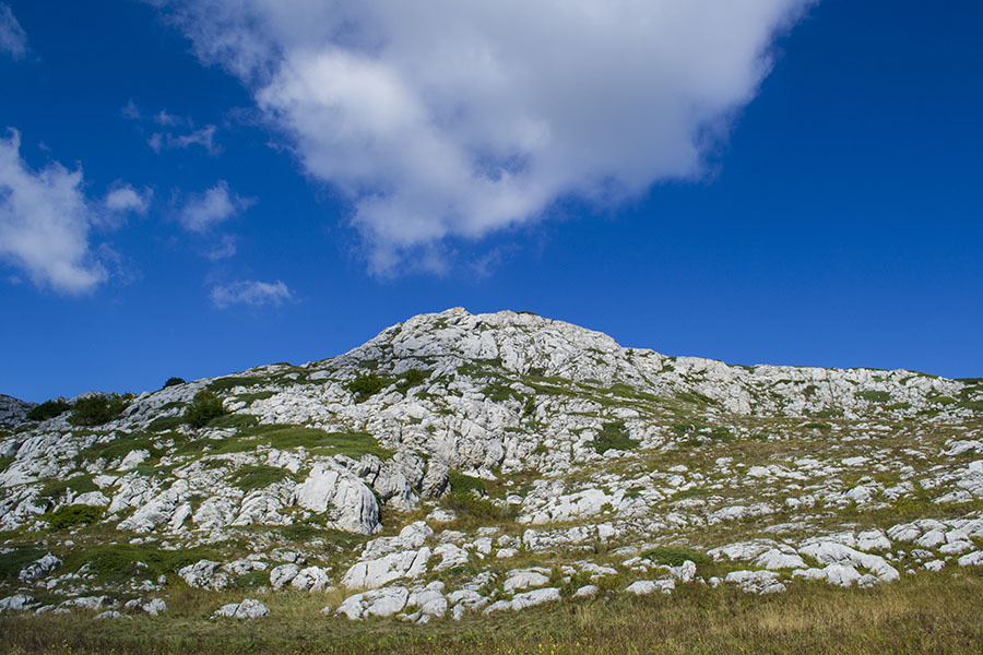 HPD on the Chatyr-Dag plateau (photo report) - My, Crimea, Tracking, Travels, Photo, Hike, Tourism, Adventures, Chatyr-Dag, Longpost