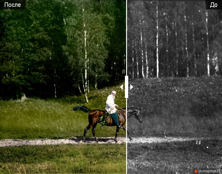 Mayakovsky, Lenin and Nicholas II in flowers. - Events, Colorization, The culture, Photo, Russia, Coloristics, A life, Риа Новости