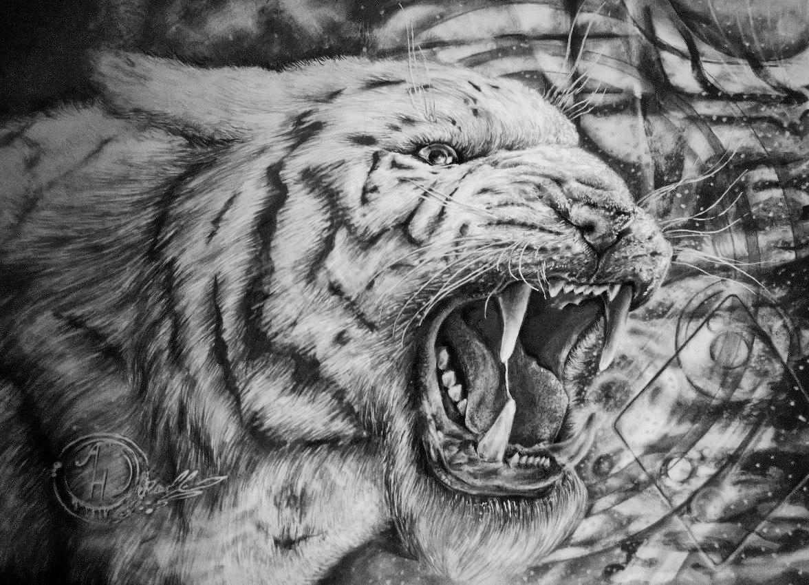 Тигр арт простым карандашом