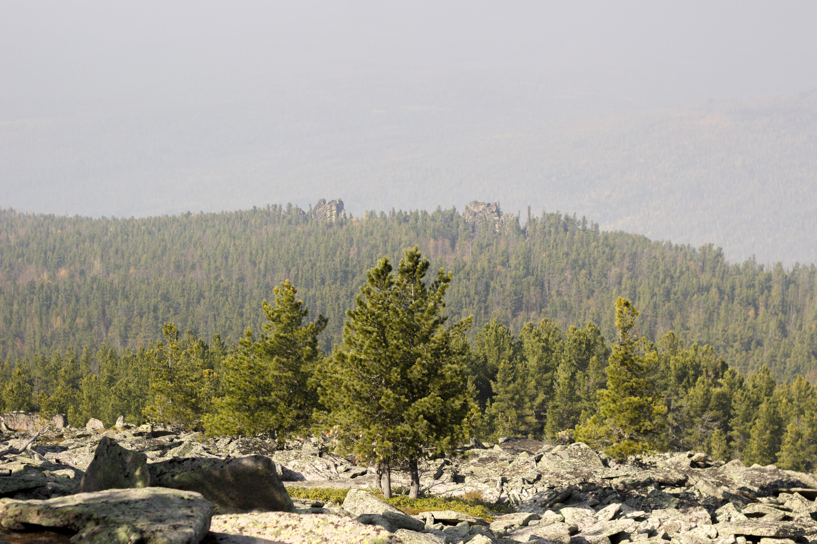 It's like being on another planet. - My, Tourism, Russia, Siberia, The mountains, Hike, Krasnoyarsk, Longpost