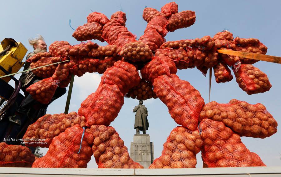 A potato snowflake appeared in the center of Krasnoyarsk - Krasnoyarsk, Monument, Potato