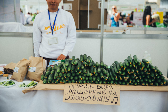 Cucumbers grown under the moonlight sonata - Cucumbers, Vegetables, Fair, Almaty, Kazakhstan