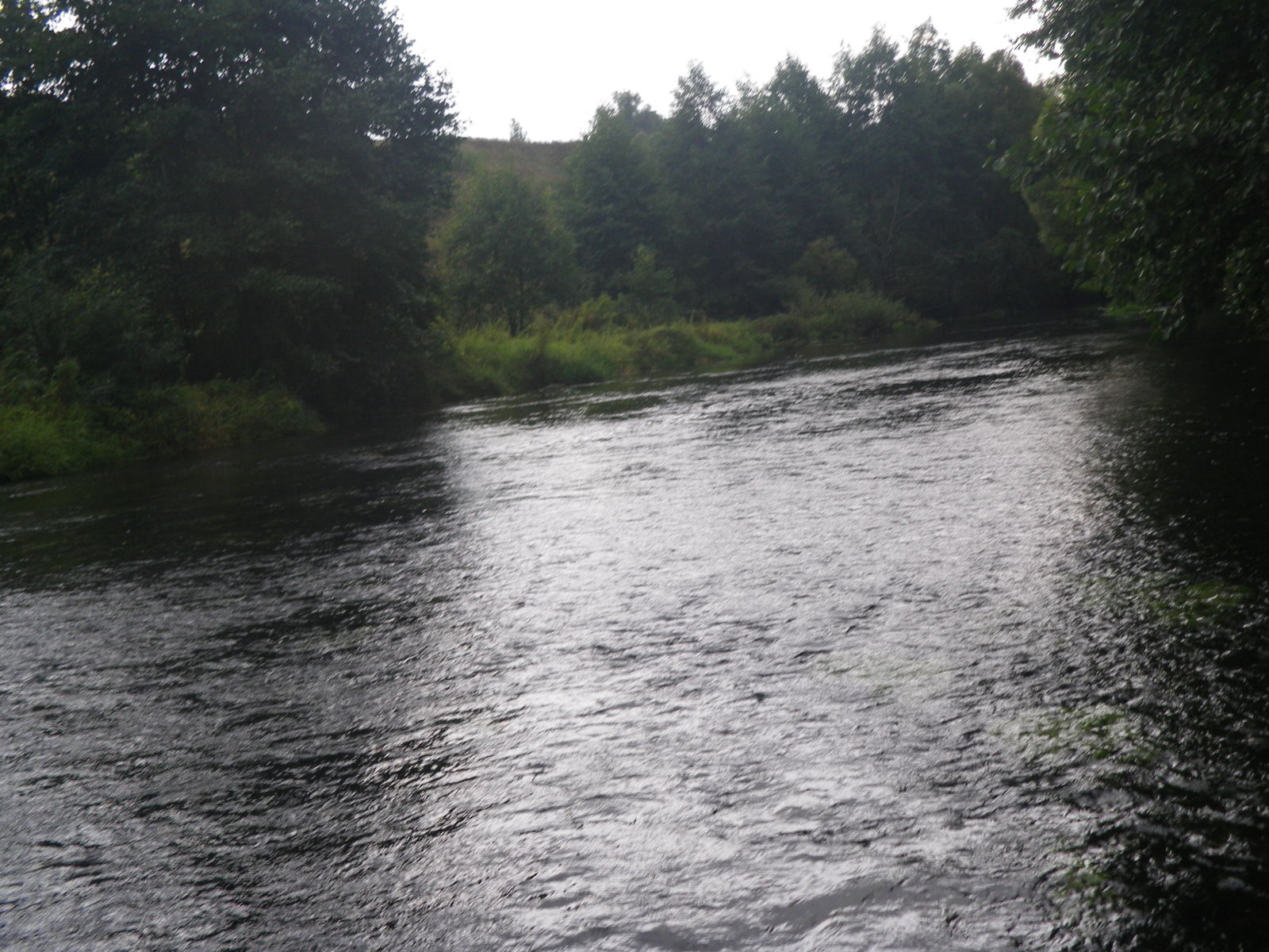 Rafting on the Serena River, Kaluga Region - My, Alloy, River rafting, River, Nature, The nature of Russia, , Fishing, Longpost