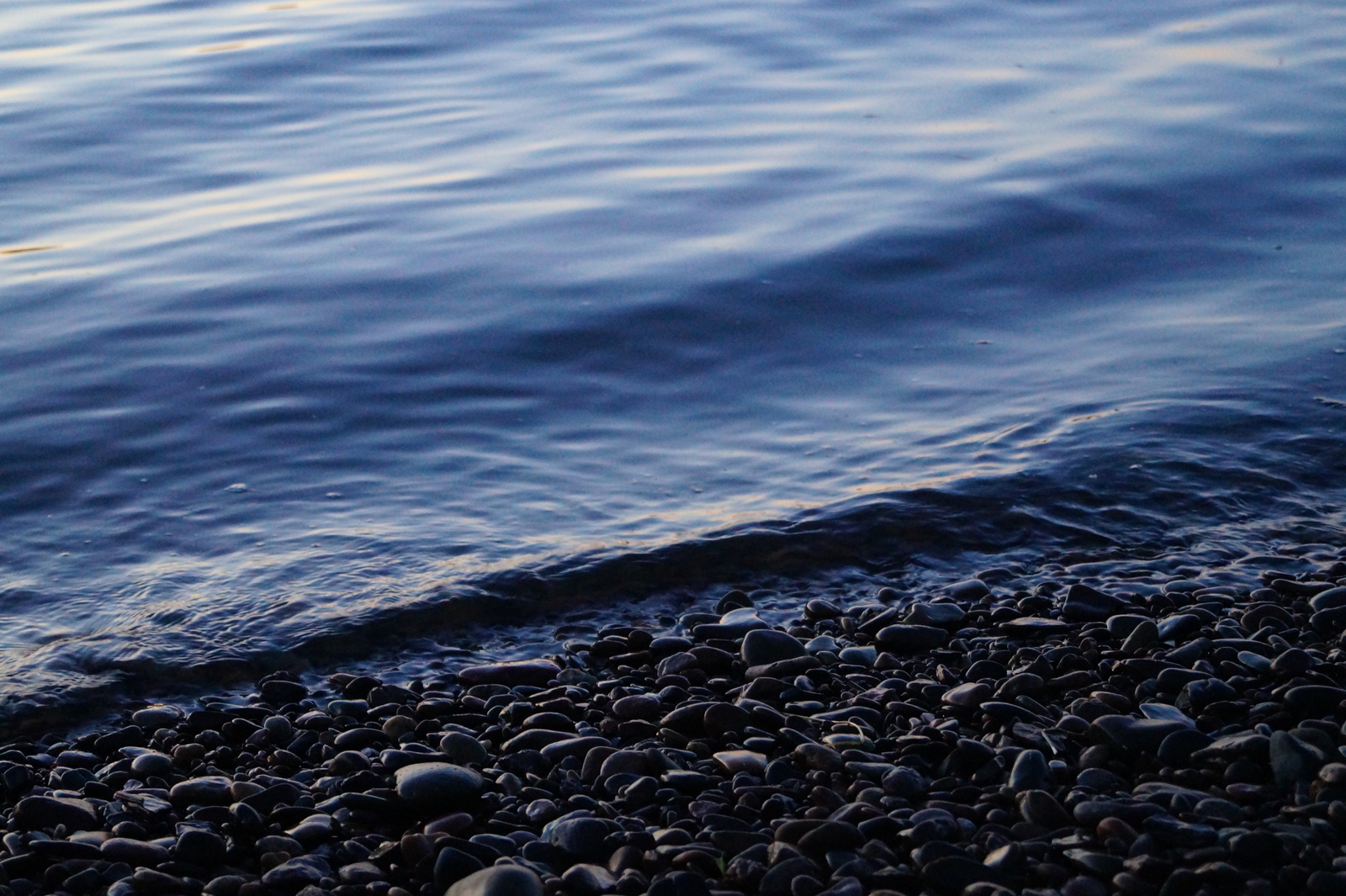 On the banks of the Yenisei - My, Yenisei, Evening, Shore, Krasnoyarsk, Longpost